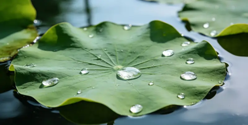 阳江乳腺癌21基因mRNA表达分析图片1