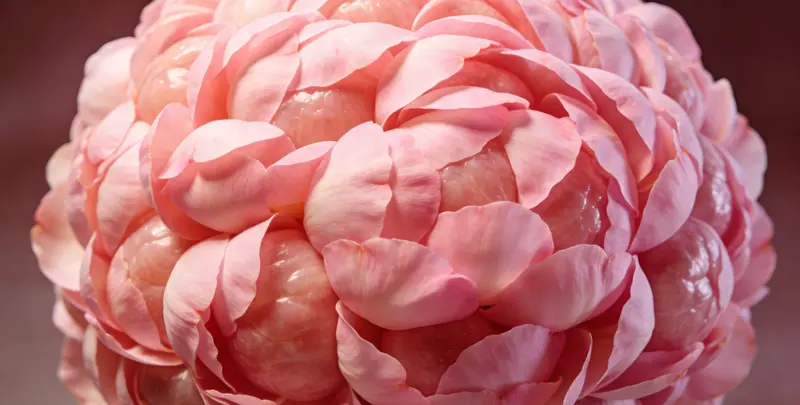 阳江BRCA1/2乳腺癌卵巢癌基因检测图片1